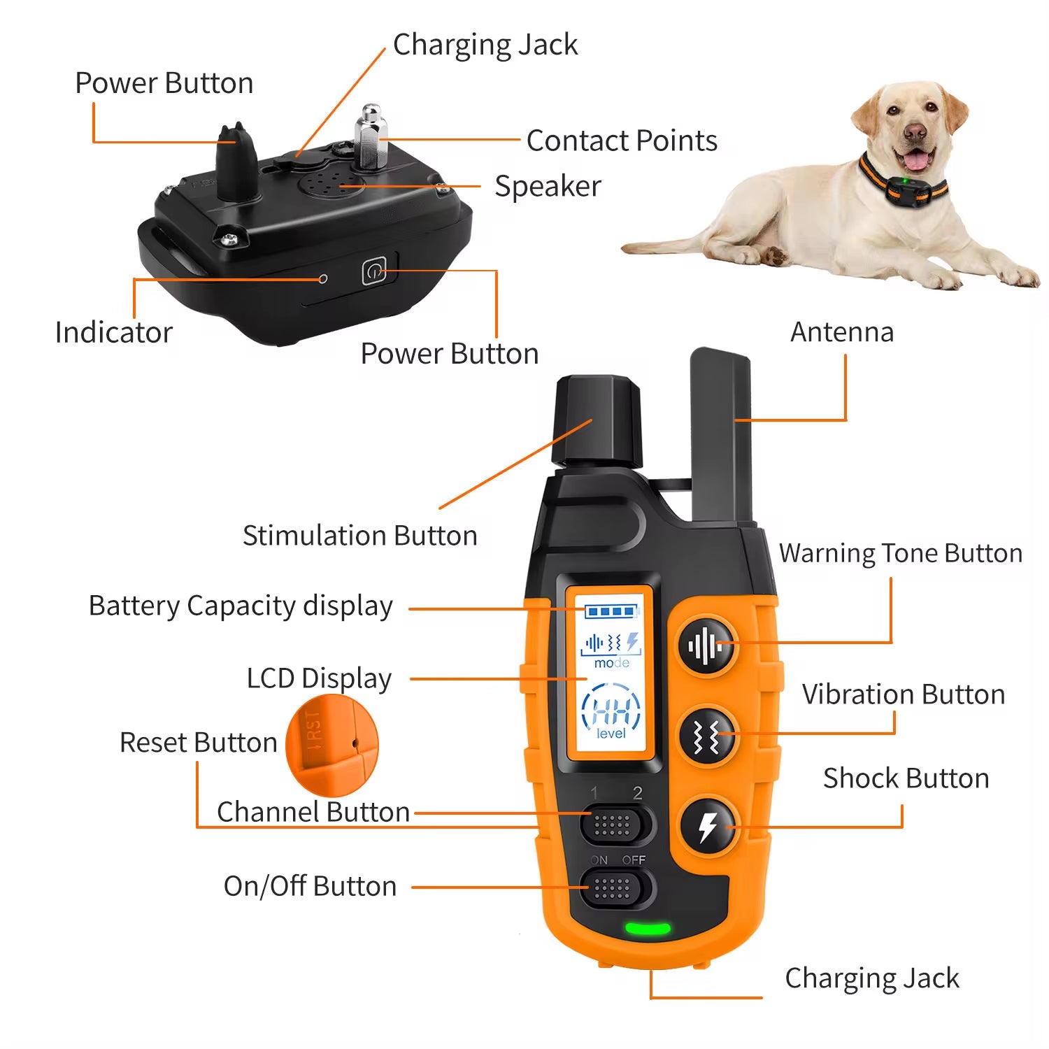 Dog Training Collar